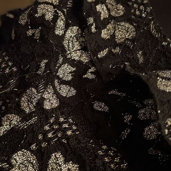 Black Lace Dress Size 4, Black & Silver VNeck half-sleeve NWT - Picture 7 of 14